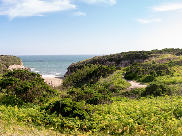 Hikes with a View in Santa Cruz County Visit Santa Cruz County