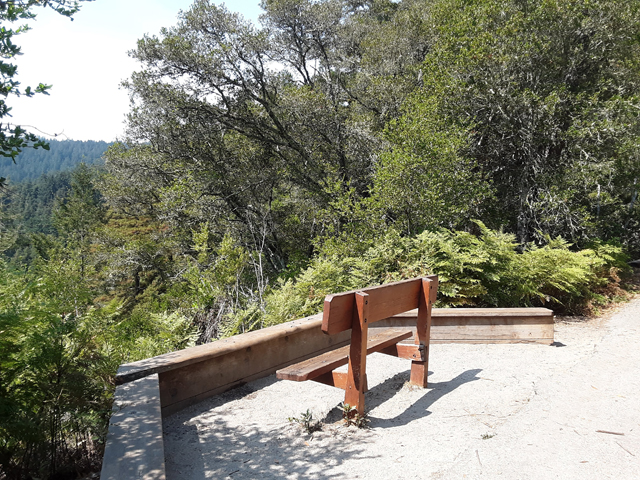 Hikes with a View in Santa Cruz County: Henry Cowell Redwoods State Park is full of valley vistas. The observation bench is great spot to hike to off Pipeline Trail.